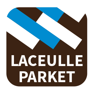 Dennis Laceulle